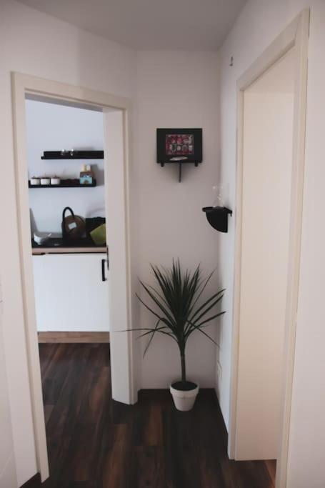 Schoene Wohnung Top Lage Koeln Work & Relax & Travel เฟรเชน ภายนอก รูปภาพ